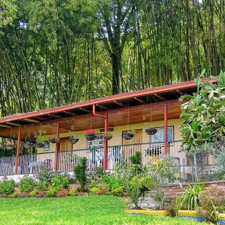 Finca Turistica Los Rosales ペレイラ エクステリア 写真