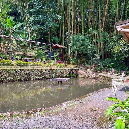 Finca Turistica Los Rosales ペレイラ エクステリア 写真