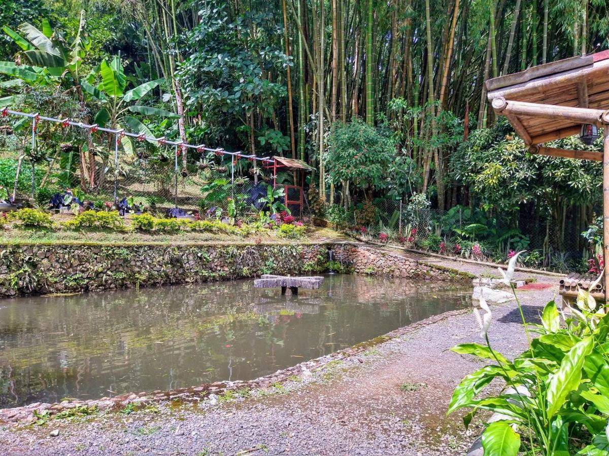 Finca Turistica Los Rosales ペレイラ エクステリア 写真