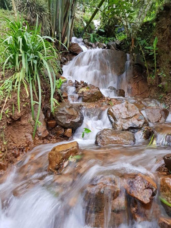 Finca Turistica Los Rosales ペレイラ エクステリア 写真