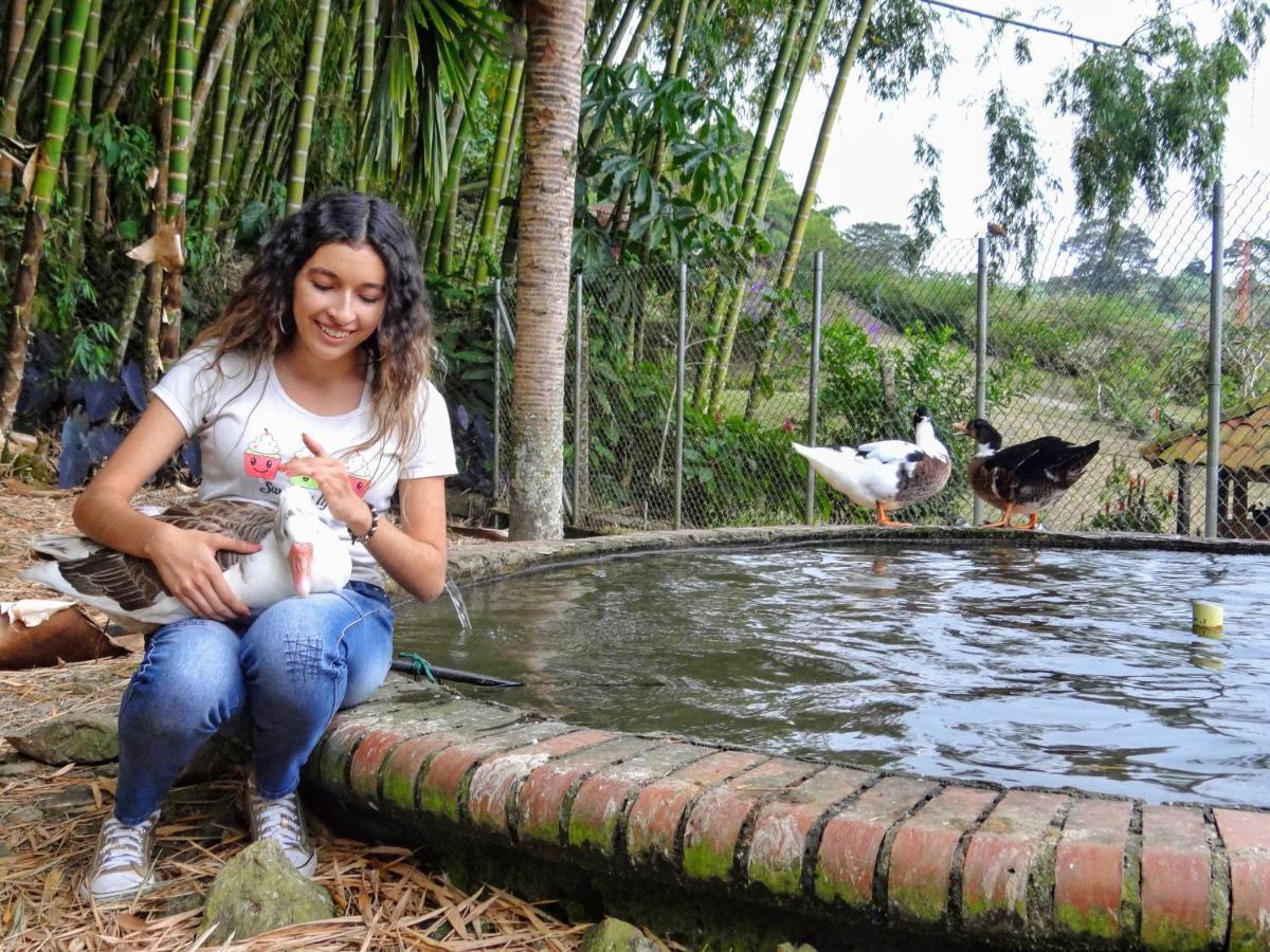 Finca Turistica Los Rosales ペレイラ エクステリア 写真